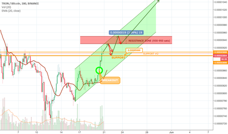 TRX/BTC, Scenario before #MAINNET