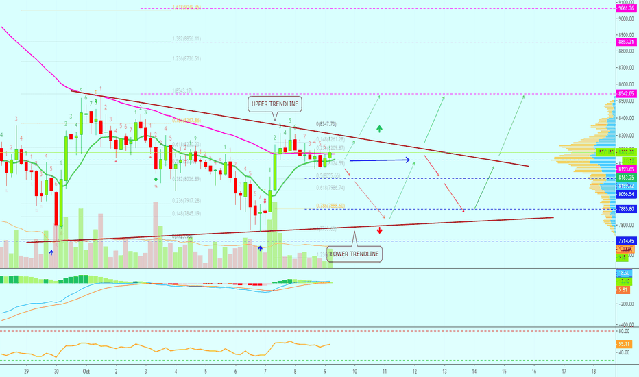Bitcoin Changes Sentimient | Bullish Or Bearish Now? | Altcoins