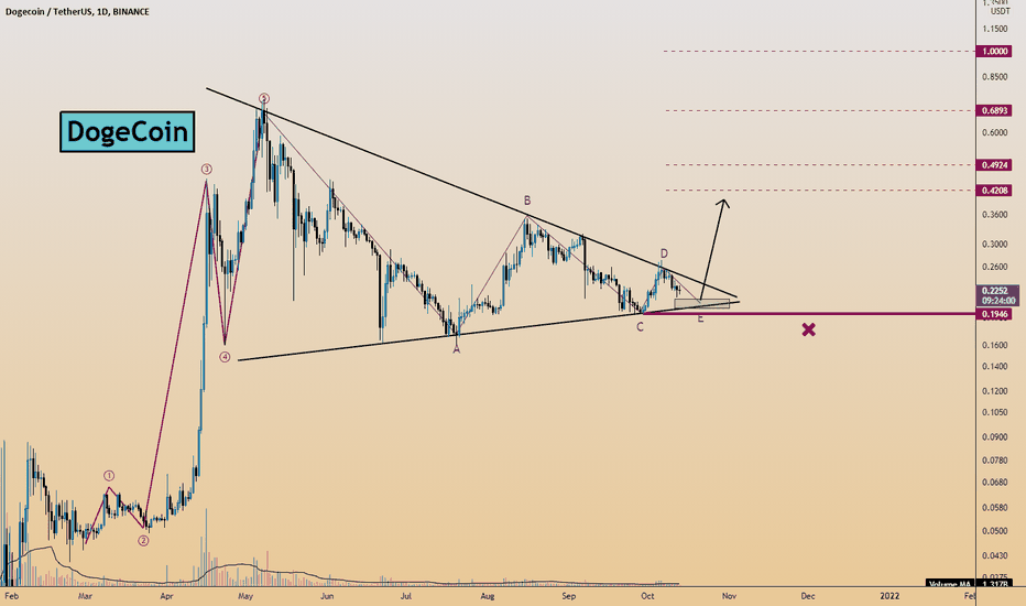 #DogeCoin Expected next move 1$ 