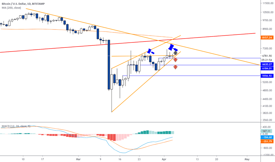 BTCUSD Rising Wedge, Big Crash Possible