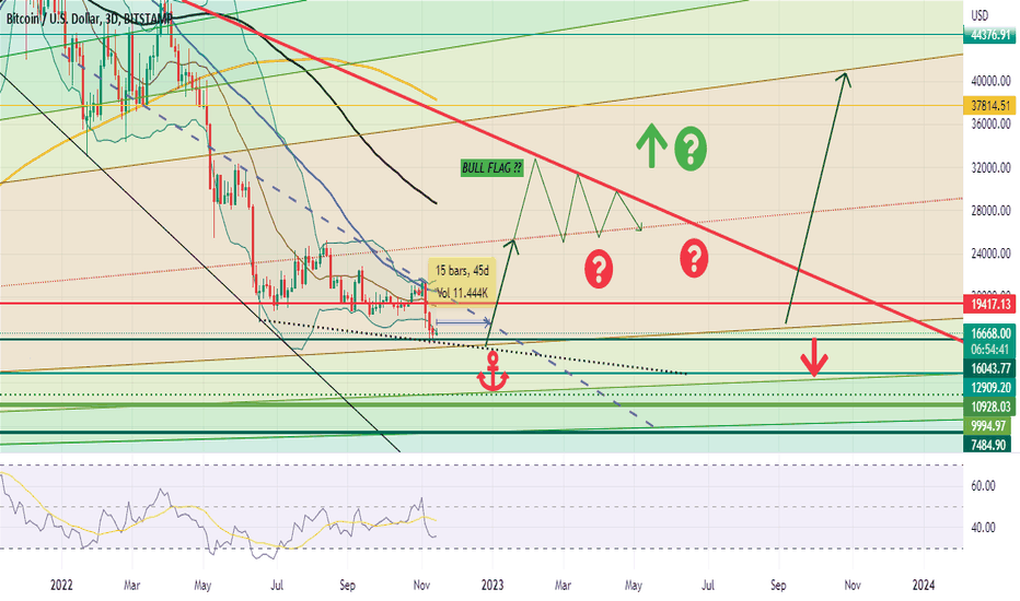 Bitcoin! The patience of believers will be rewarded.