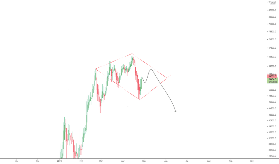 Feed the bears now