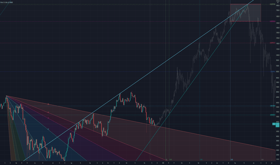 The Satoshi Prophecy (Revised Chart)