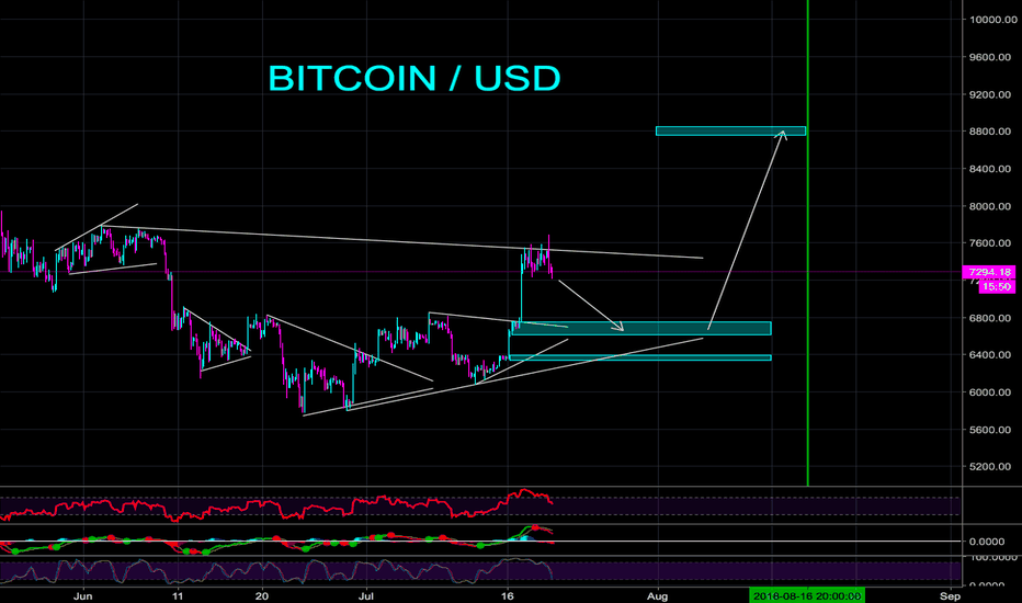 VIP MEMBER BITCOIN ANALYSIS - CryptoManiac101