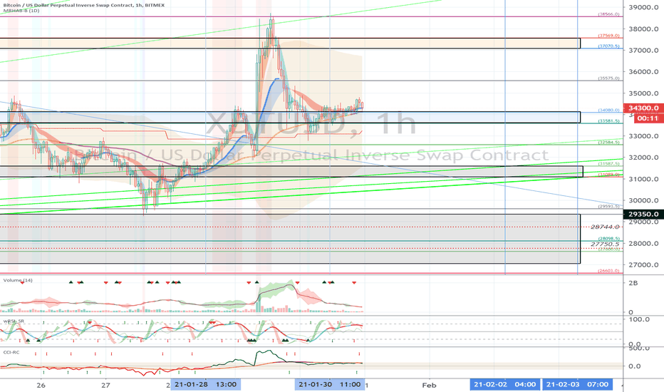 XBTUSD (Short Term Strategy) - January 31