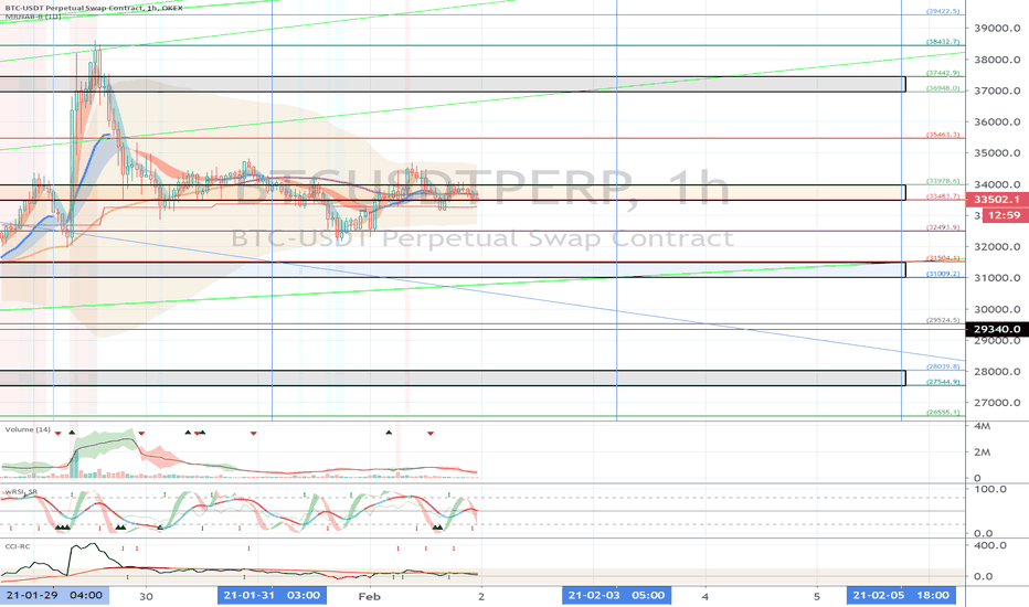 OKEX BTCUSDTPERP (Short Term Strategy) - February 2