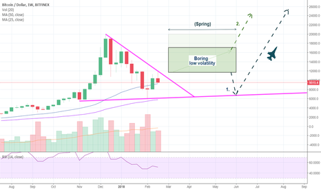 Bitcoin - What's going to happen in the next couple of months