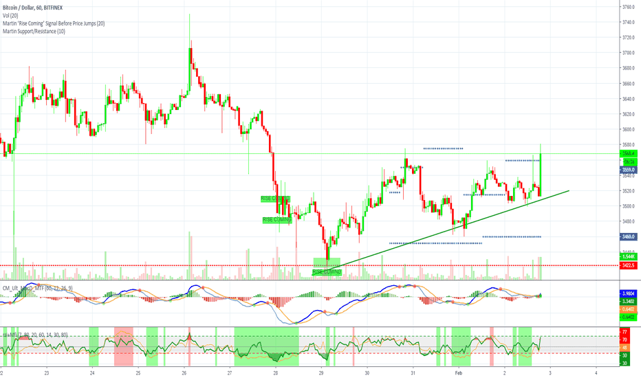 Bitcoin Goes In Favor of the Bulls (WIN!)
