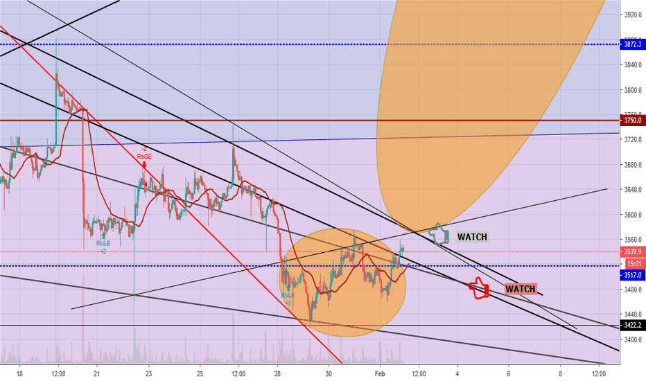 BITCOIN BULL RUN UPDATE