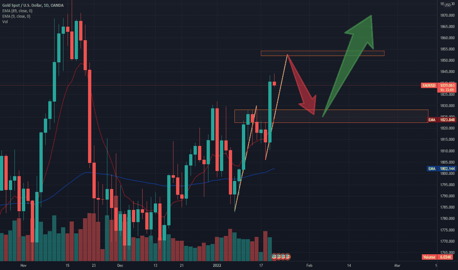 $GOLD zoomed out 