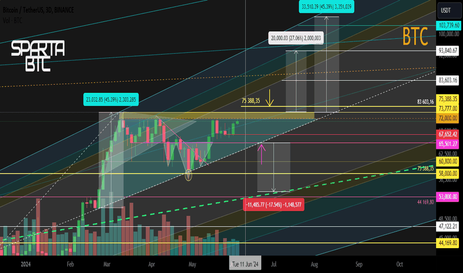 BTC/USD Triangle. Medium-term and local work 07 06 2024
