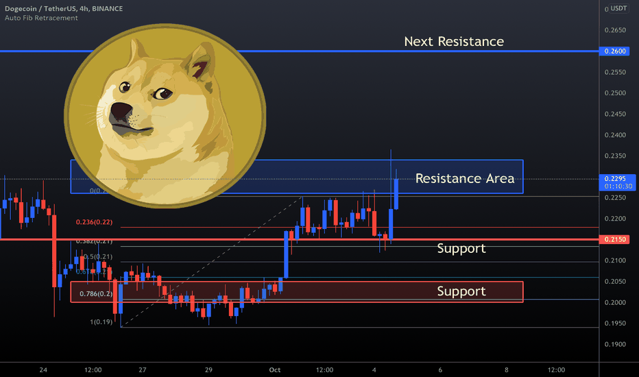 DOGECOIN (Update)