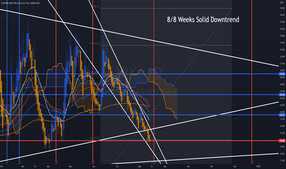 VIX - Miss Mess left for Dead / Call Prems are quite Large