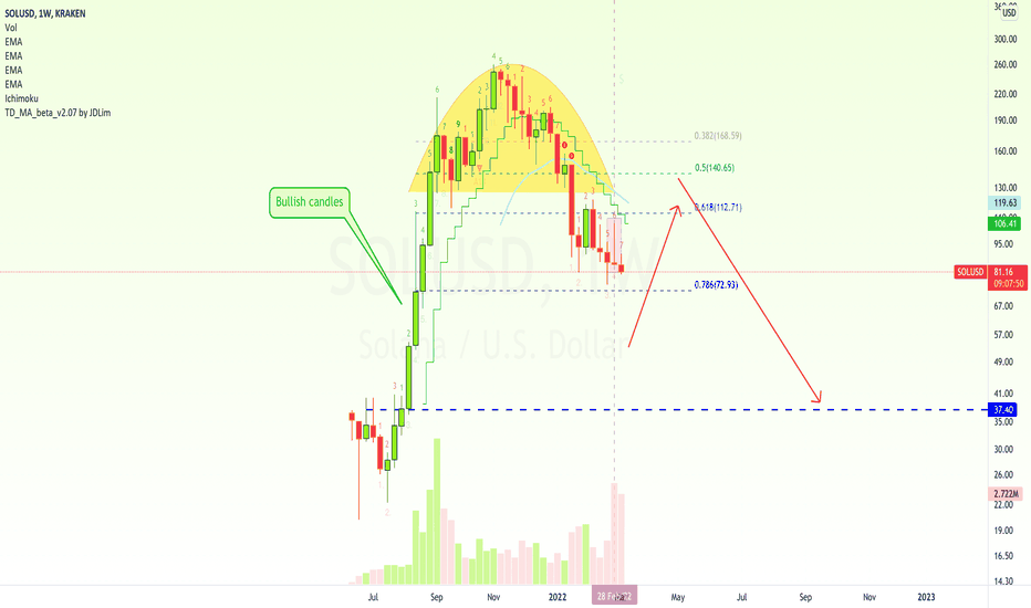 Solana's Bear Run