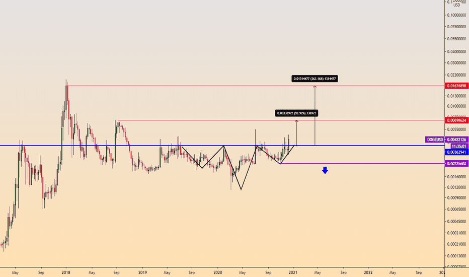 #DOGE USD