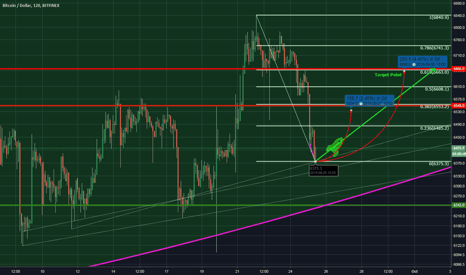 Bitcoin bull bounce