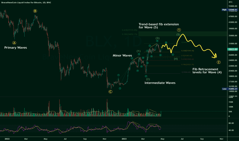 What $BTC is doing right now: bear market rally.