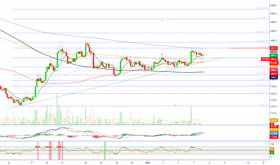 Bitcoin (BTCUSD) Price Action (8-Jan)
