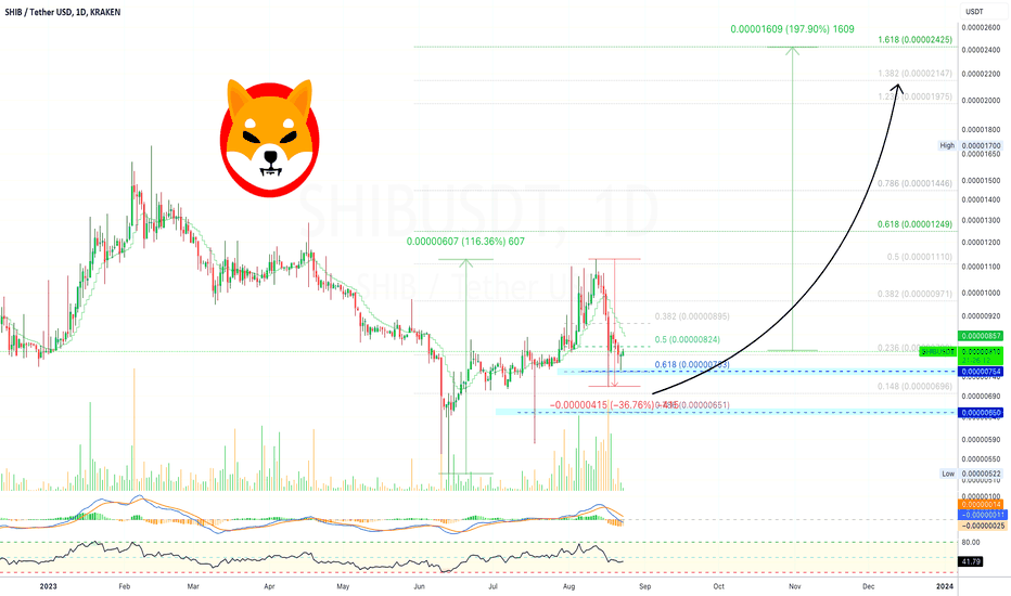 ✴️ Shiba Inu Correction Likely Over, New 200% Jump Possible