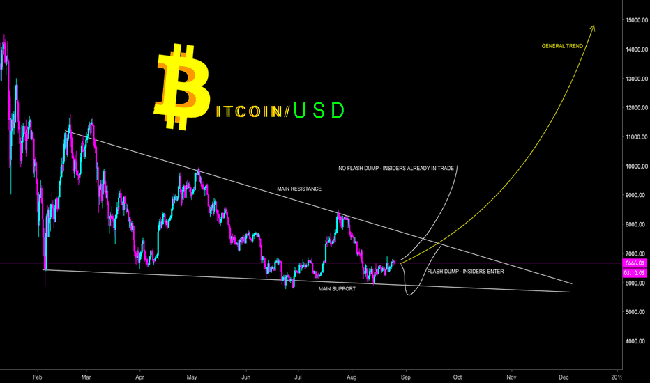 BITCOIN OVER ATH THIS YEAR - FLASH DUMP? - CryptoManiac101
