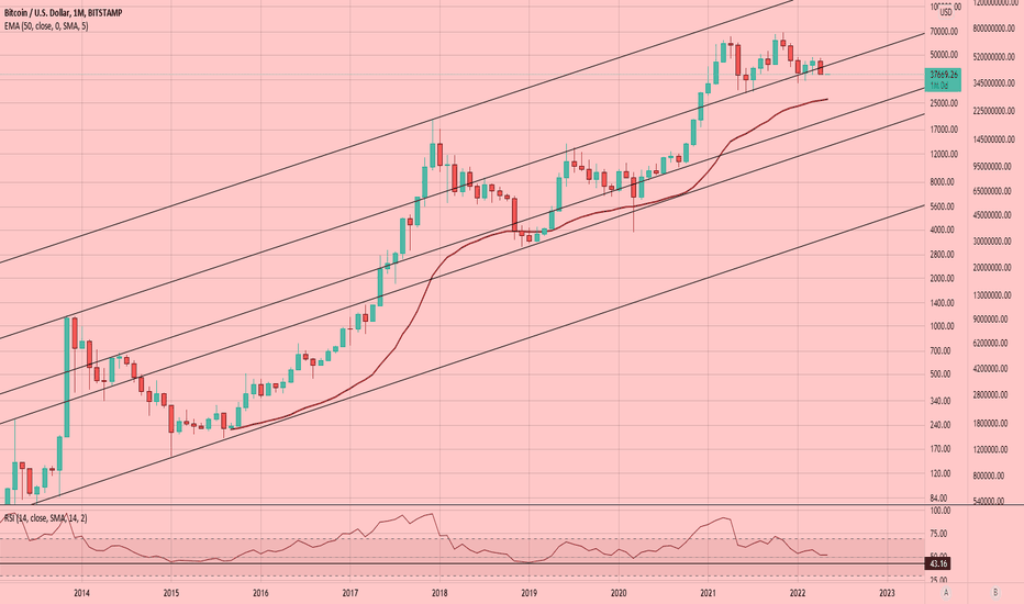 Bitcoin (BTC): Just Closed Its Worst Monthly Candle On Record