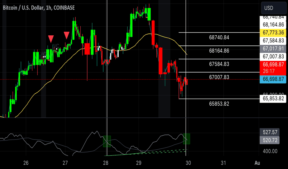 4 LEVEL TARGETS up to $68,740