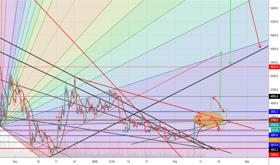 BITCOIN BULL RUN UPdate 2.0