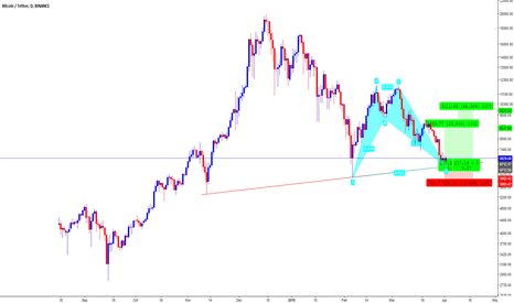 Bitcoin will bull up to 8500-9200