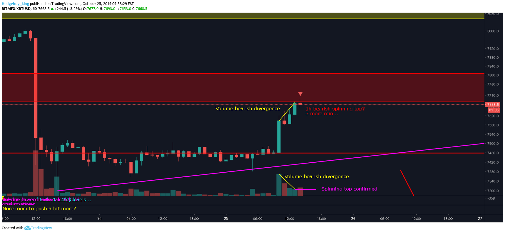 BITMEX:XBTUSD.P Idea Chart Image by Hedgehog_king