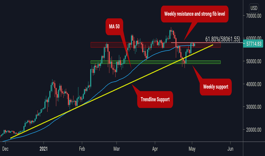 BTC more bullish signs 