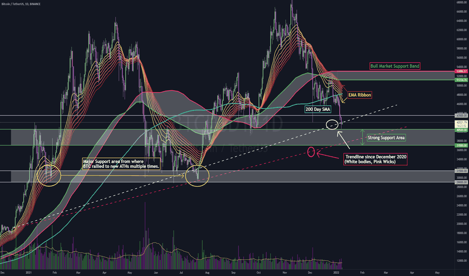 BTC Where's The Bottom?