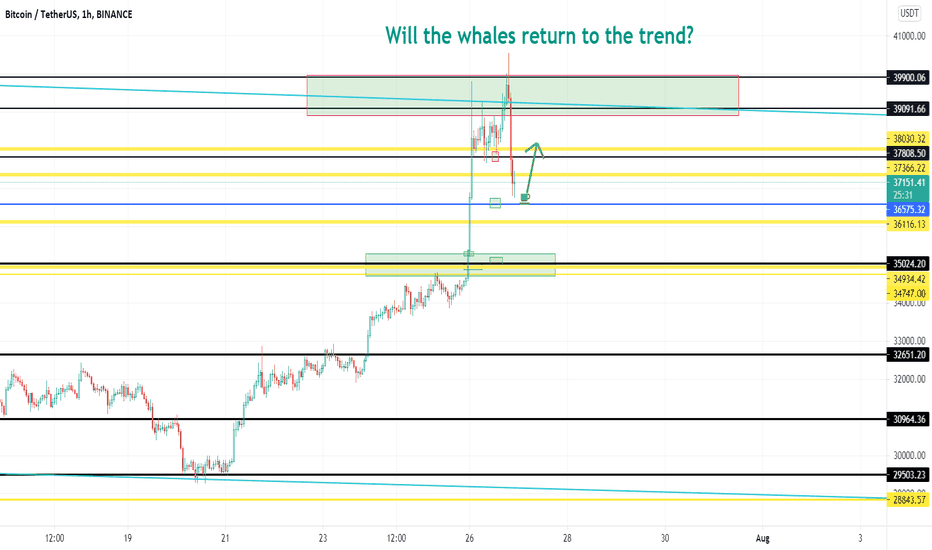 BTC - Will the whales return Bitcoin from 37K to above trend?