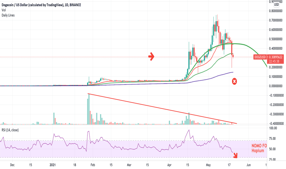 The Doge Disaster - Ponzi Pog Spotted - #CashExit Now