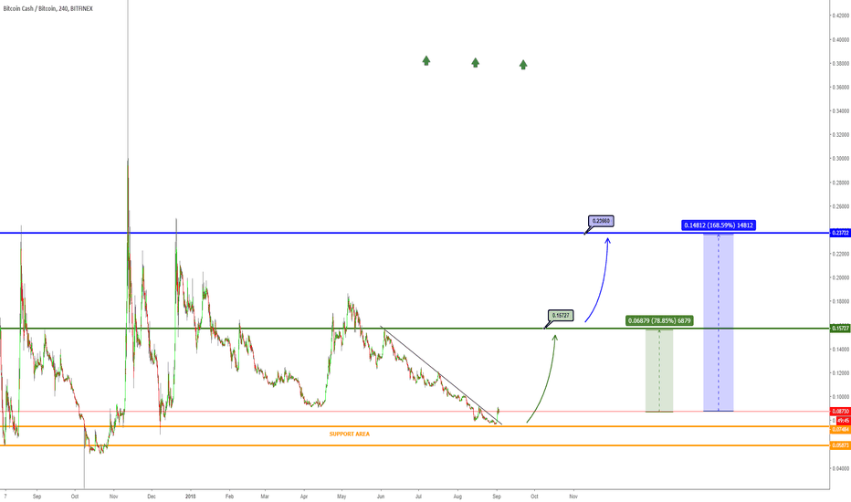 BCHBTC: 170% Profit Protential