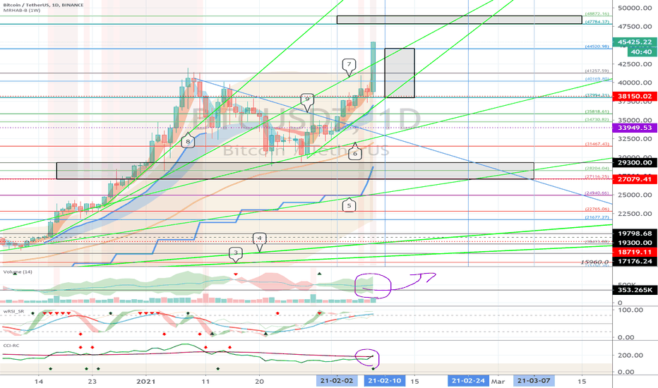 Bitcoin (BTC) - February 9 (USDT Dominance Check)