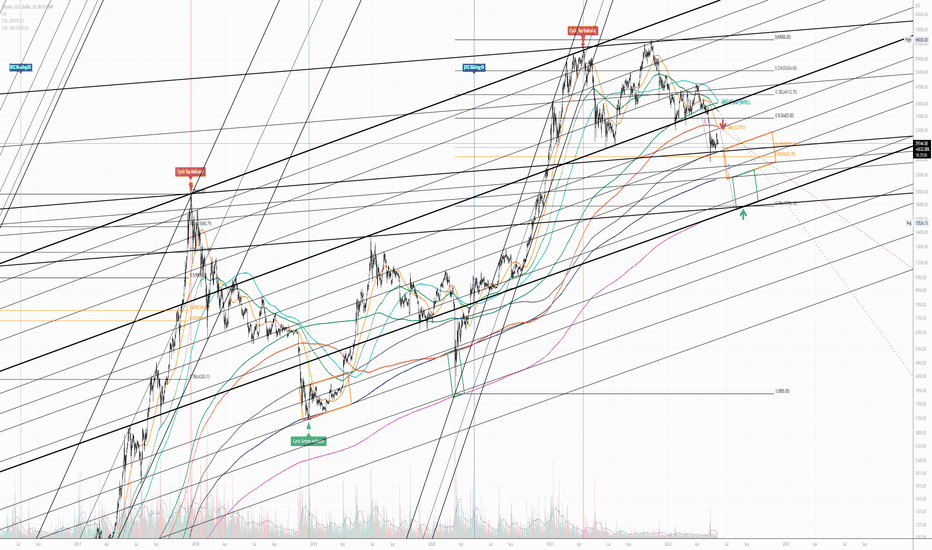 Cycle Bottom Indicator [CBI] - Log Chart & Historic Bottom Analy