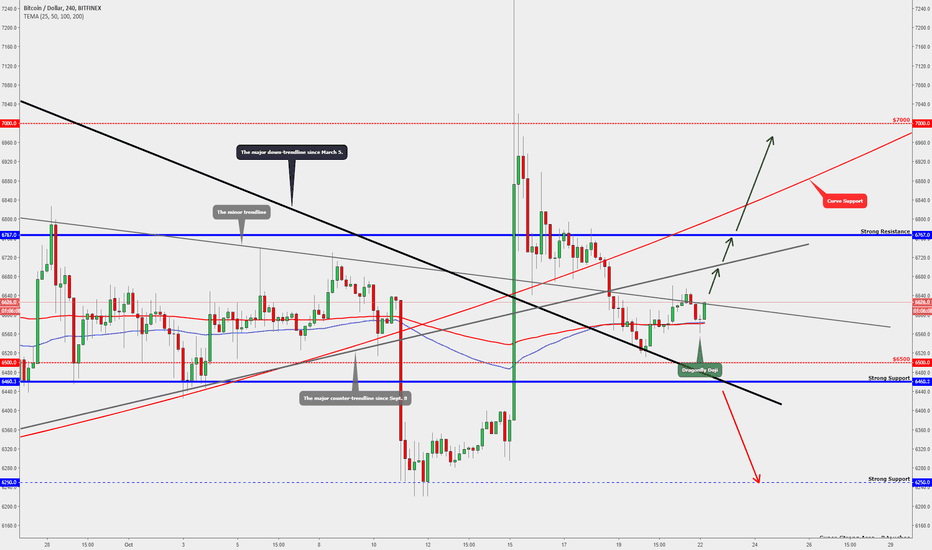 BITCOIN PRICE Weekly Forecast!