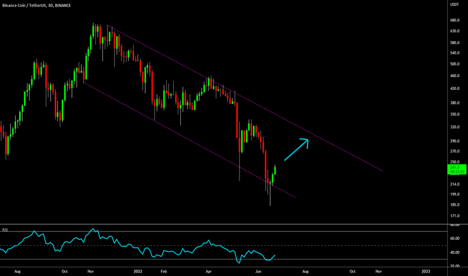 🔥 BNB Bullish Reversal: Pump Incoming?