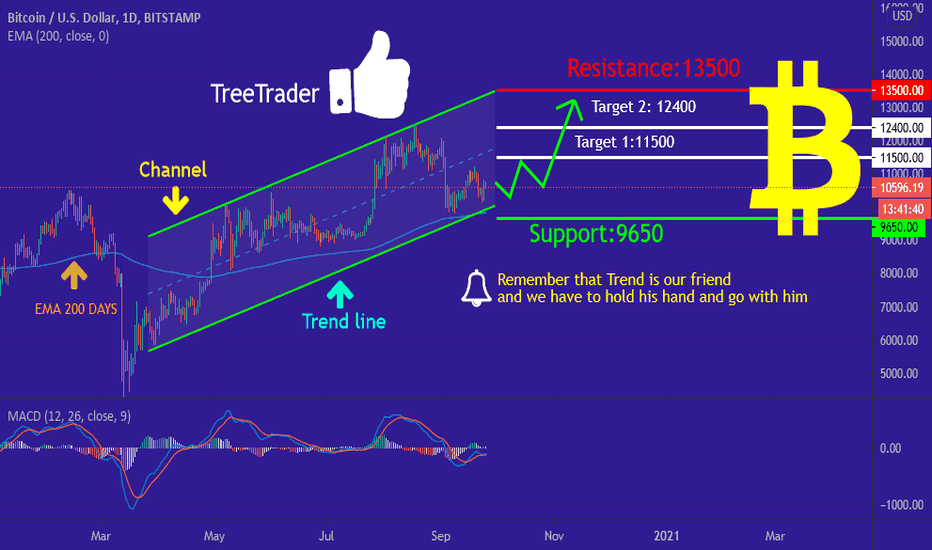 BTC/USD What will happen in the future?