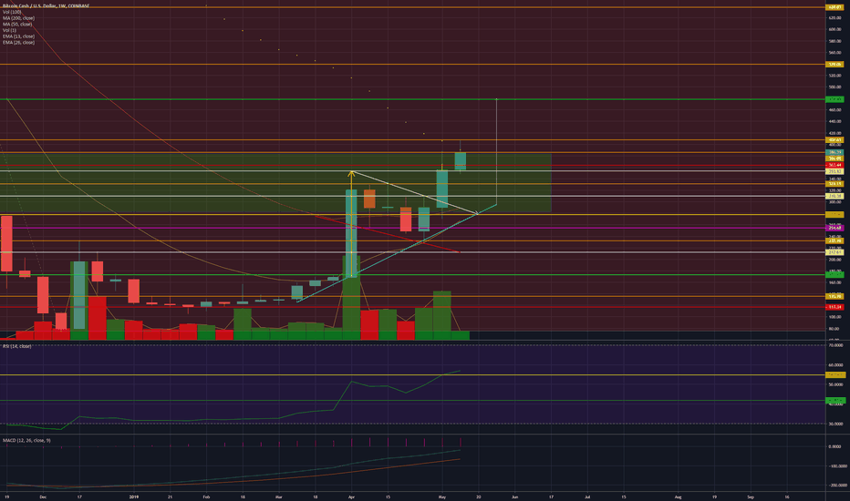 BCH Weekly 5/13/19: Ludicrous Mode Active.