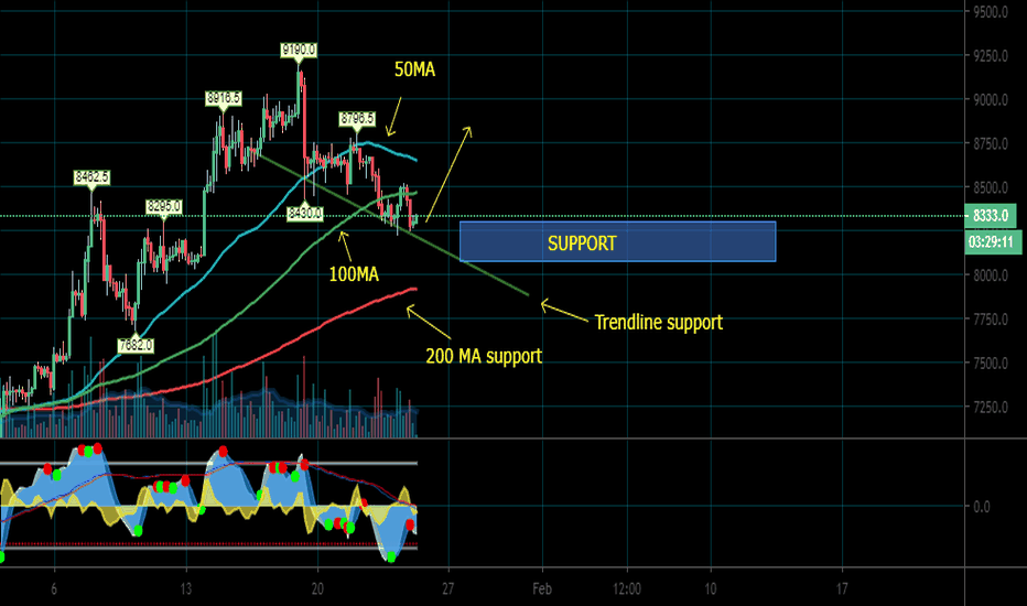 BTC bullish update support area