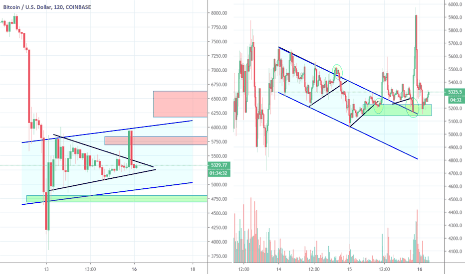 Bitcoin Whales Left the Market