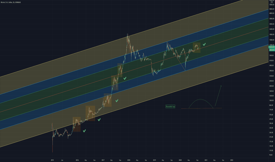 Bitcoin showing signals
