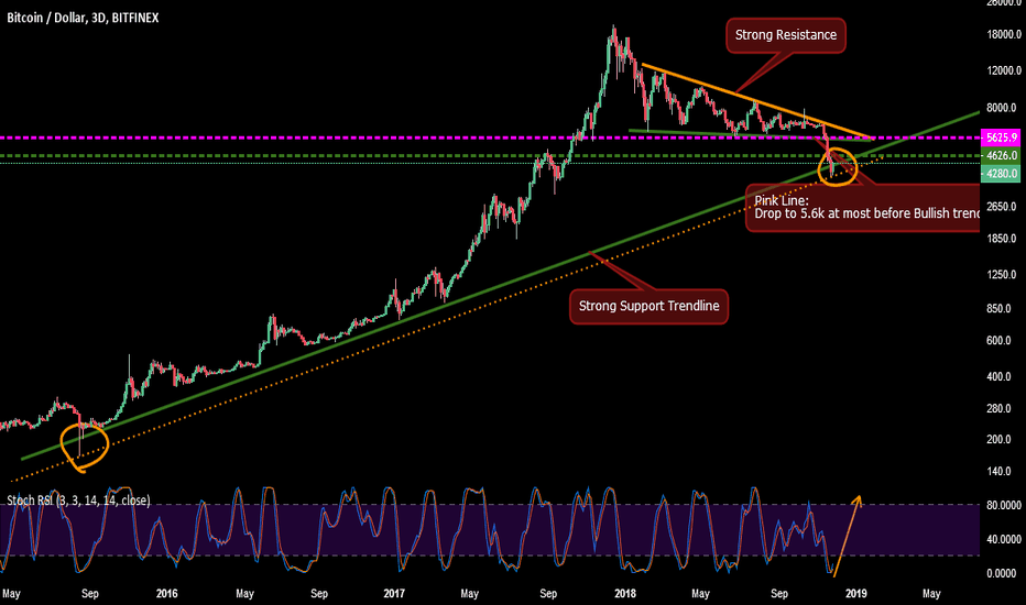 BTC - I belive Bottomed!