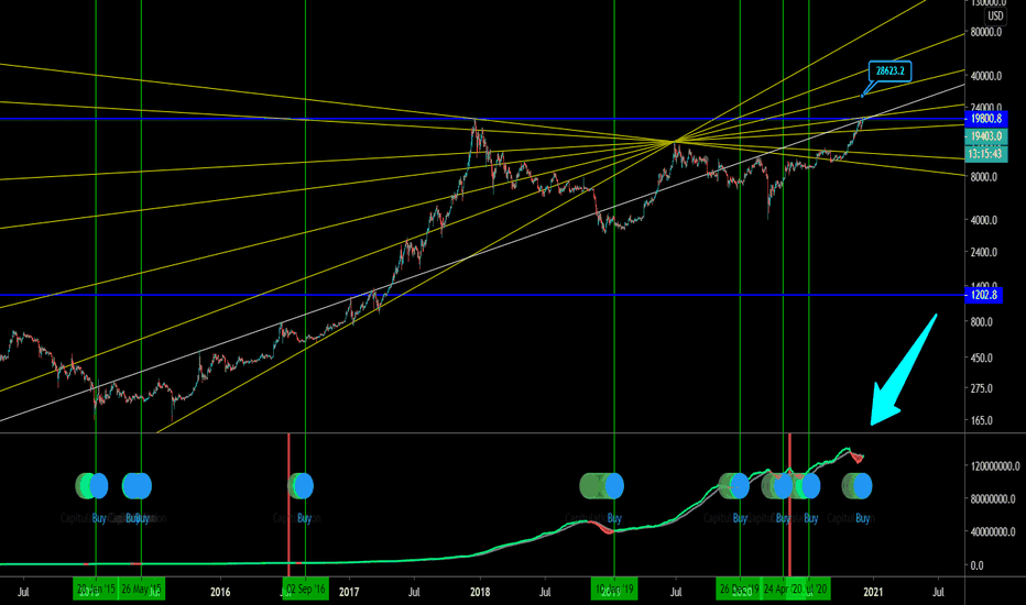 BITCOIN hash Ribbon just printed a buy daily chart