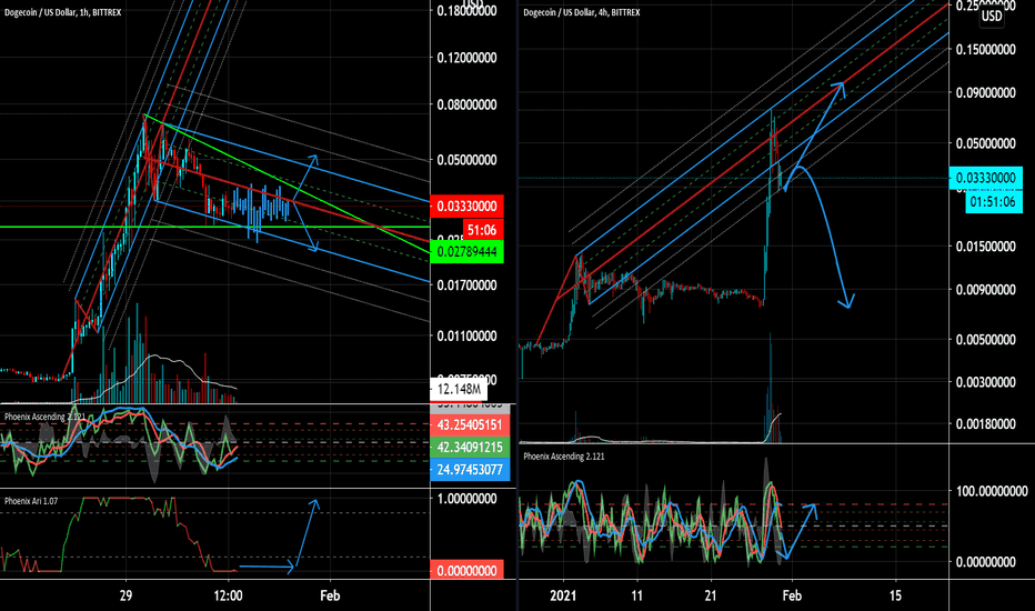 The Doge hype : The end or just the beginning? 🚀🚀🚀