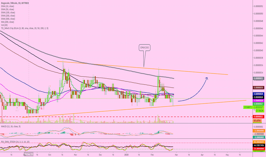 Dogecoin Looks Bullish | Can Move Very Soon!