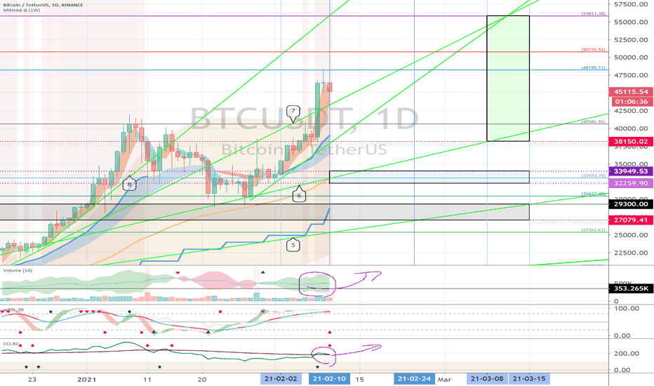 Bitcoin (BTC) - February 11 (USDT Dominance Check)