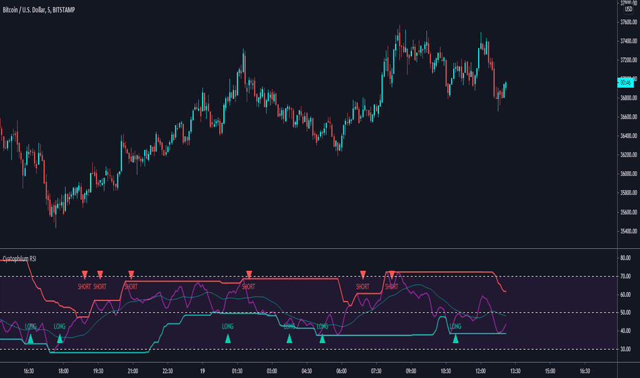 [FREE INDICATOR] Cyatophilum Relative Strength Index DIVERGENCES