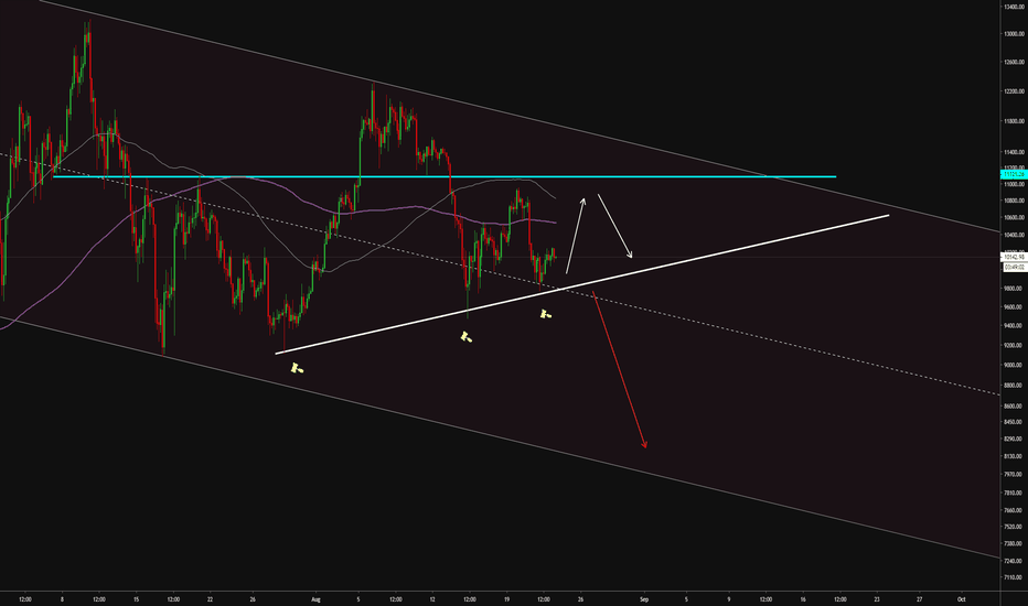 #BTC Update 23/O8/19